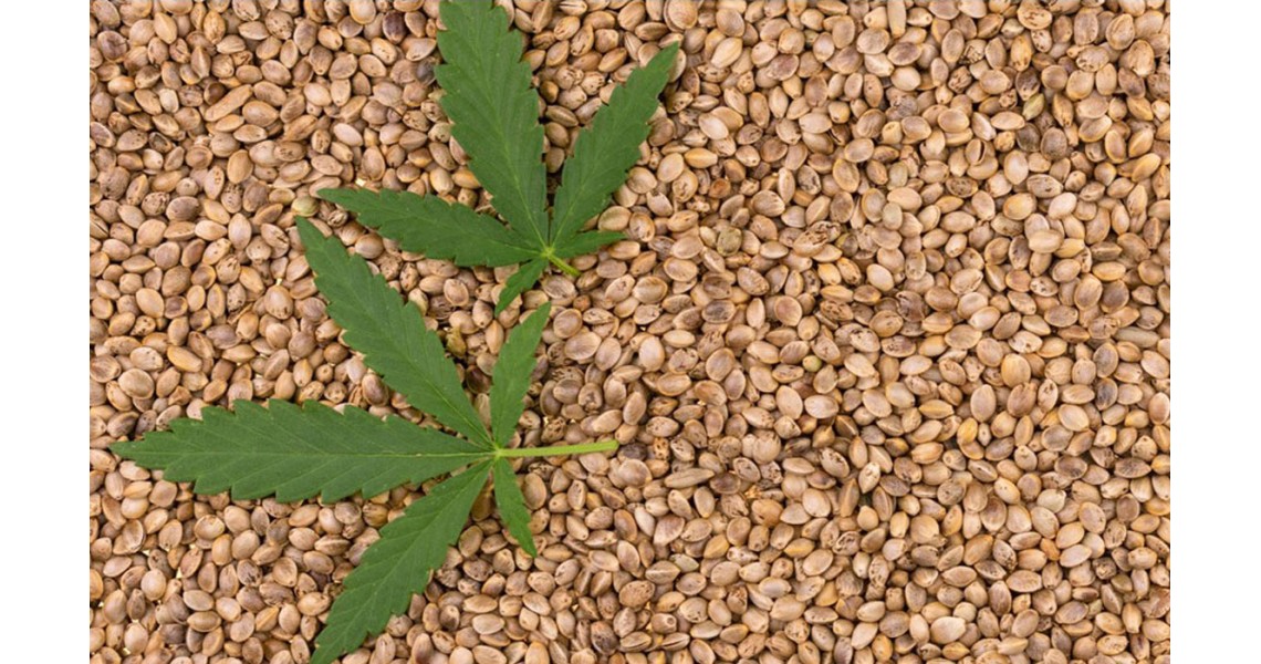 Nature's Treasure Chest of Benefits