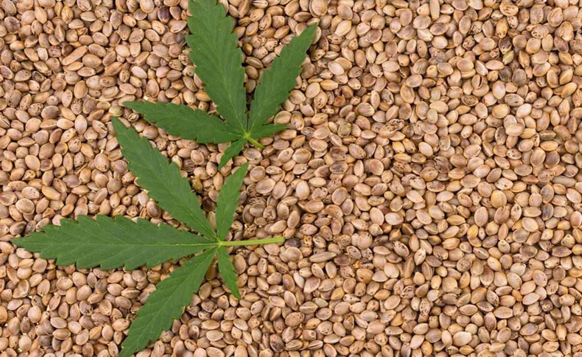 Nature's Treasure Chest of Benefits