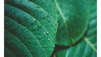 5 Common Eczema Triggers & How To Treat Naturally