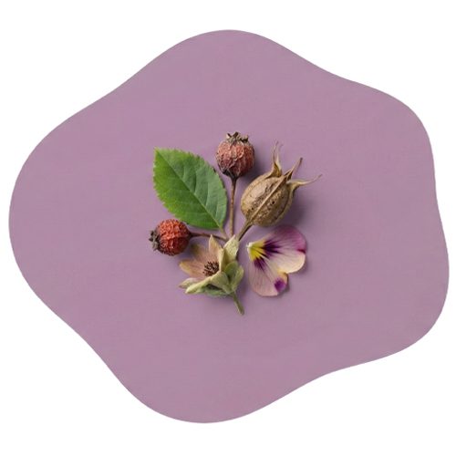 Made From Plants