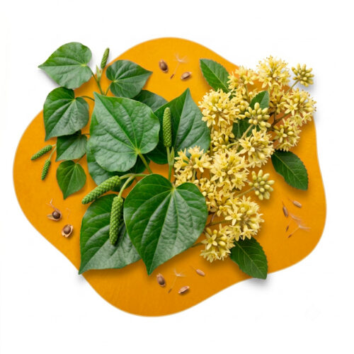 Kawakawa and kumerahou soap
