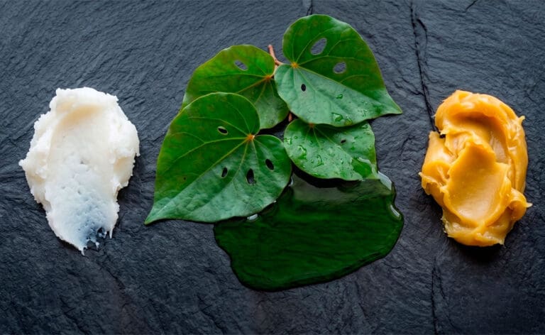 A side-by-side comparison showcase of natural skincare ingredients, emphasising green native Kawakawa leaves on a clean slate background.